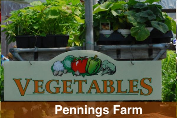 Dagele Bros Produce, Pennings Farm, Hoeffner Farms
