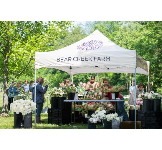 Bear Creek Farm Tent