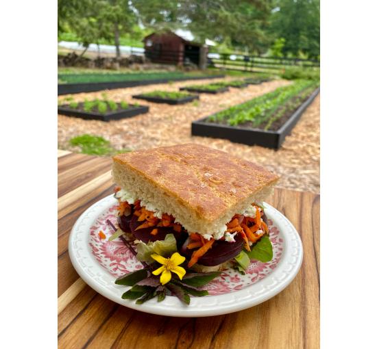 Image of a beet sandwich on foccacia with the farm in the background