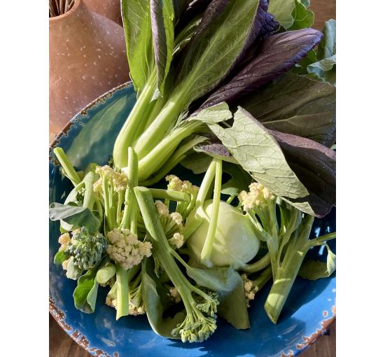 Broccoli and Cauliflower Florets, Kohlrabi, Purple Bok Choi *when in season