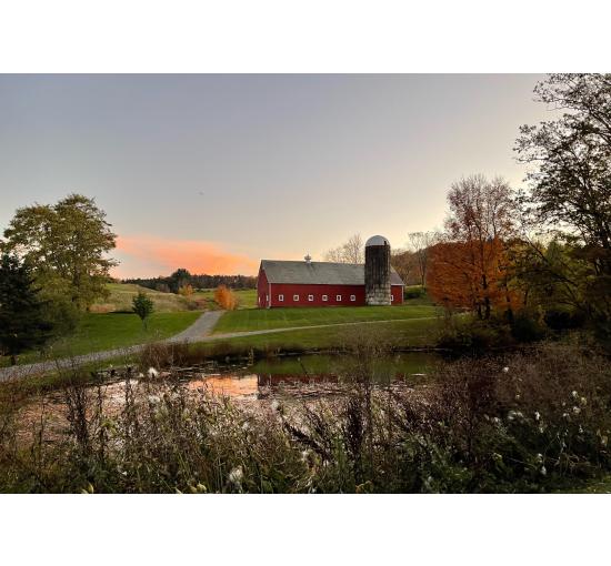 Scotch Hill Farm is a vegetable farm and retreat located in Cambridge, NY, 