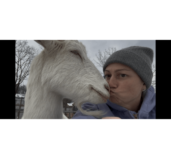 Endless Love from the Pasture Goats