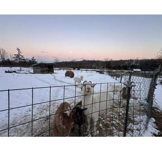 Beautiful Winter Sunset