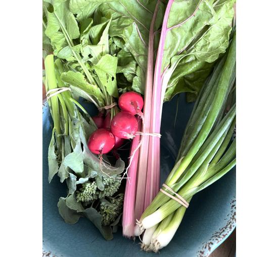 Radishes, Swiss Chard, Green Onions, Broccoli Florets *when in season