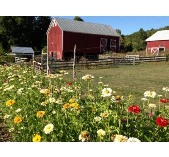 barn and field of flowers