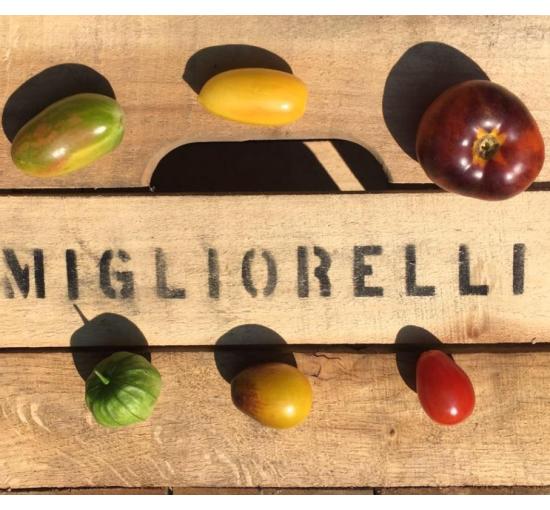 create with migliorelli on it with tomatoes around 