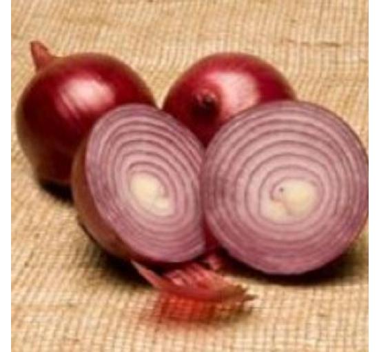 image of a cut red onion