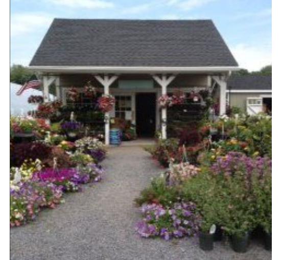 farm stand surrounded by flowers