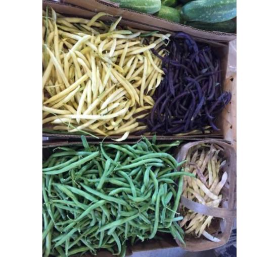 yellow and green (green beans)