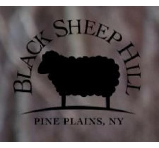 Black font logo with black sheep
