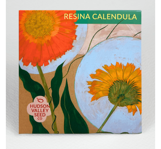Resina calendula seed pack with yellow and orange flowers