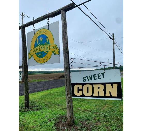 Sign hanging out front of farm yellow and white