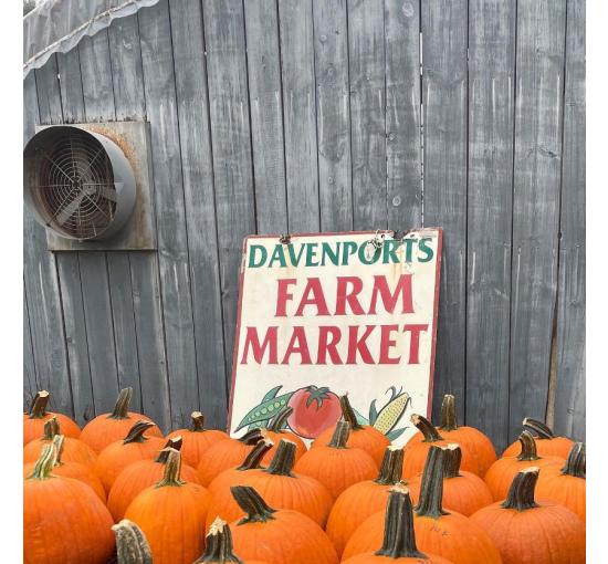 field of pumpkins, with a sign leaning against the barn that says farm market