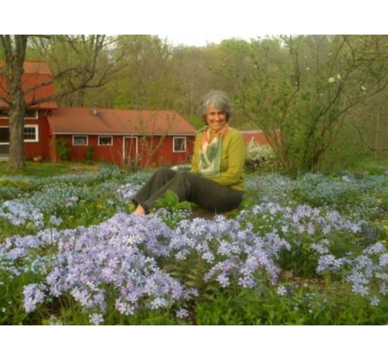 field of purple and white flowers with a woman sitting in the middle