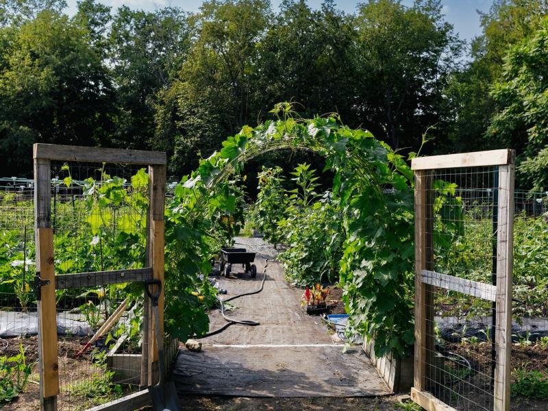 Garden gate at Little Logan's Farm