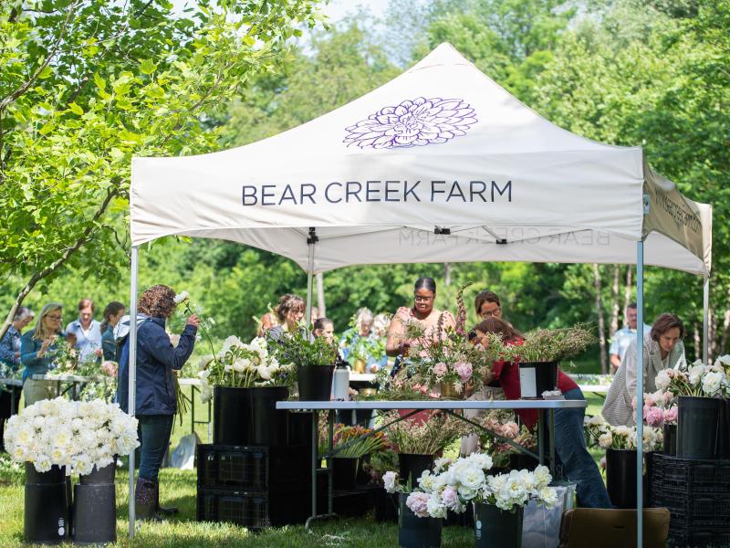 Bear Creek Farm Tent