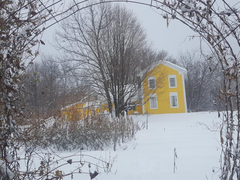 winter