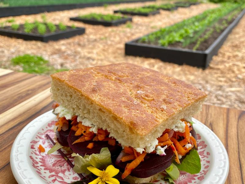 Image of a beet sandwich on foccacia with the farm in the background