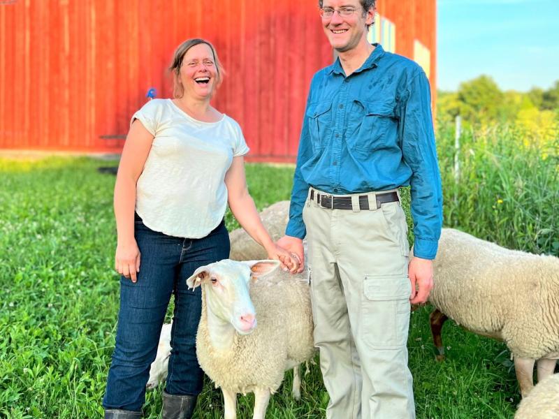 Farmers with sheep