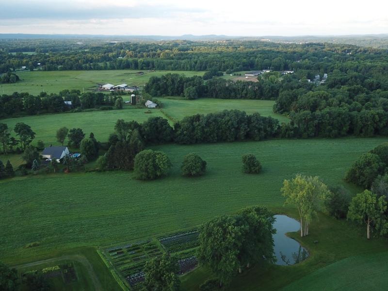 Our farm is located in Stuyvesant NY, an area prized for its agricultural soils and farming heritage. 