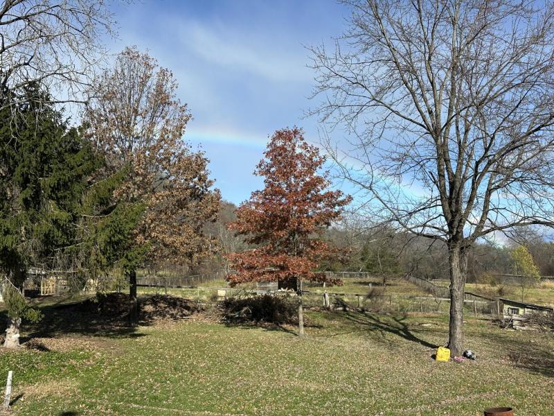 Fall Landscape