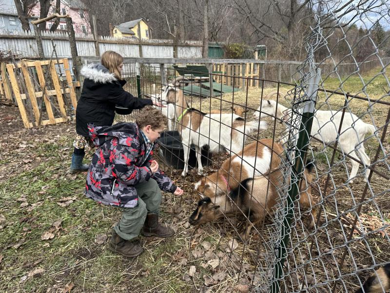 Farm Visitors