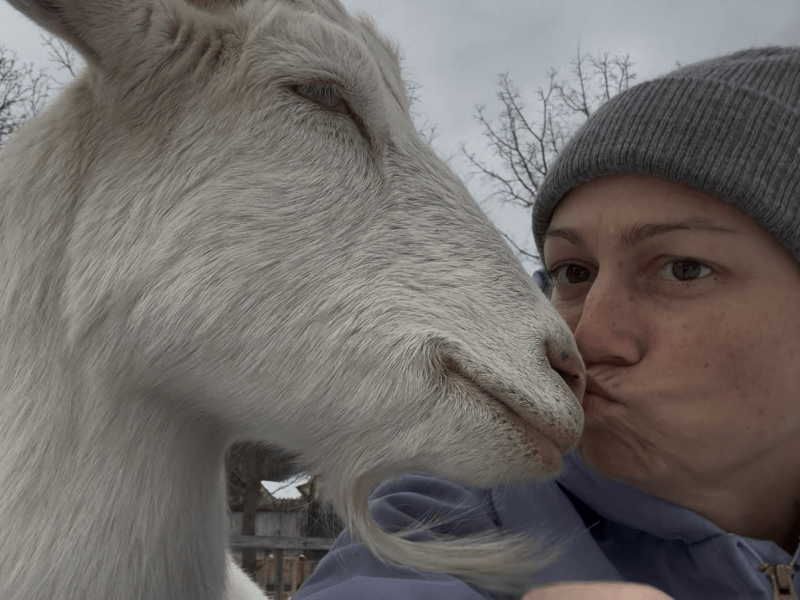 Endless Love from the Pasture Goats