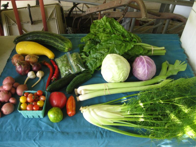 Another CSA share