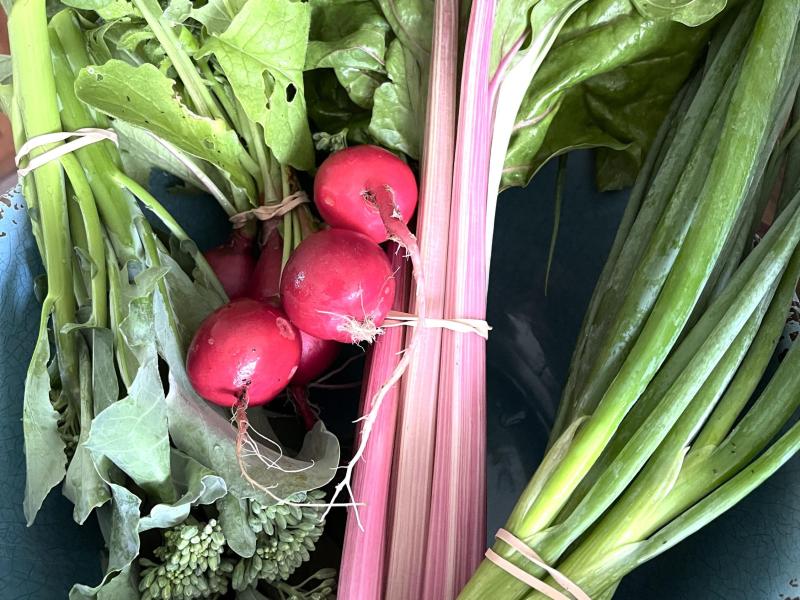 Radishes, Swiss Chard, Green Onions, Broccoli Florets *when in season