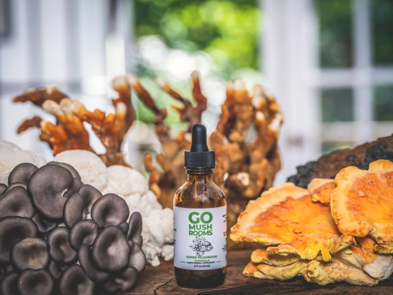 GO Mushrooms Super Mushroom Tincture