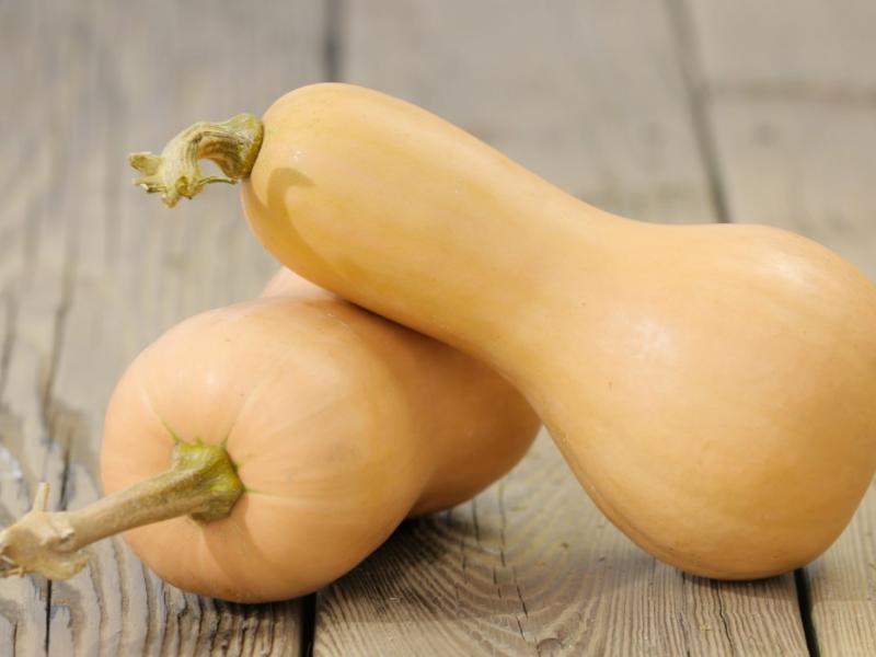 butternut squash