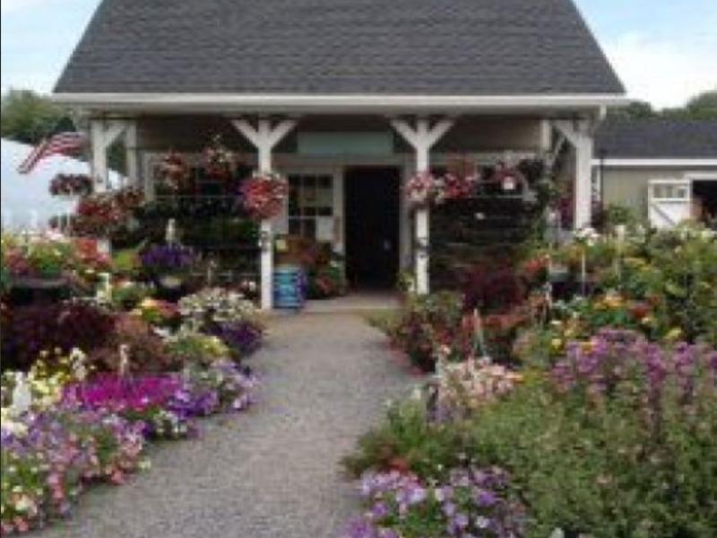 farm stand surrounded by flowers