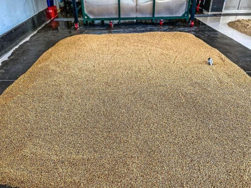 malting on the floor