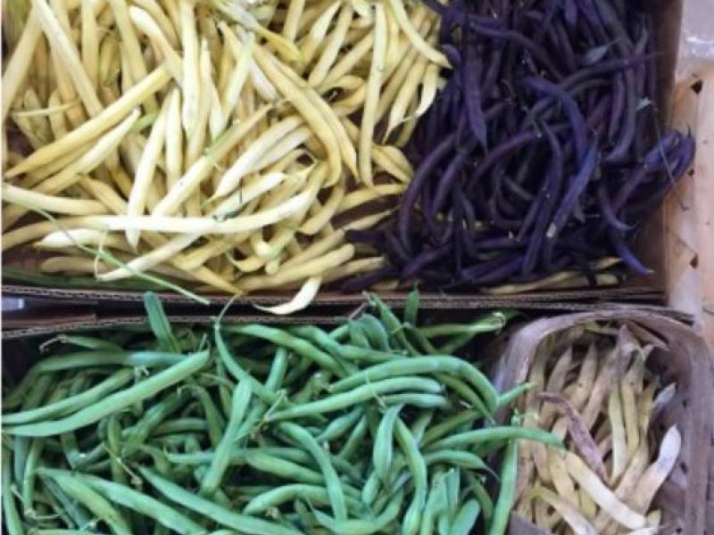 yellow and green (green beans)