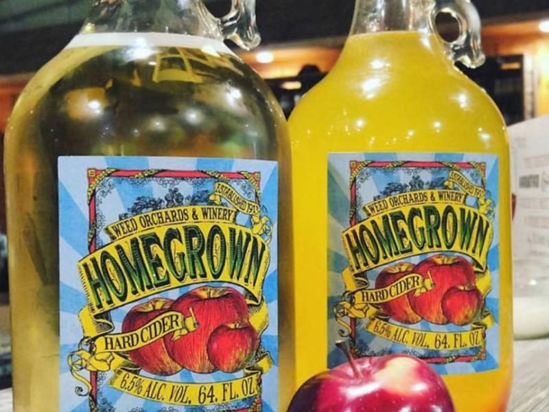 2 jugs of hard cider