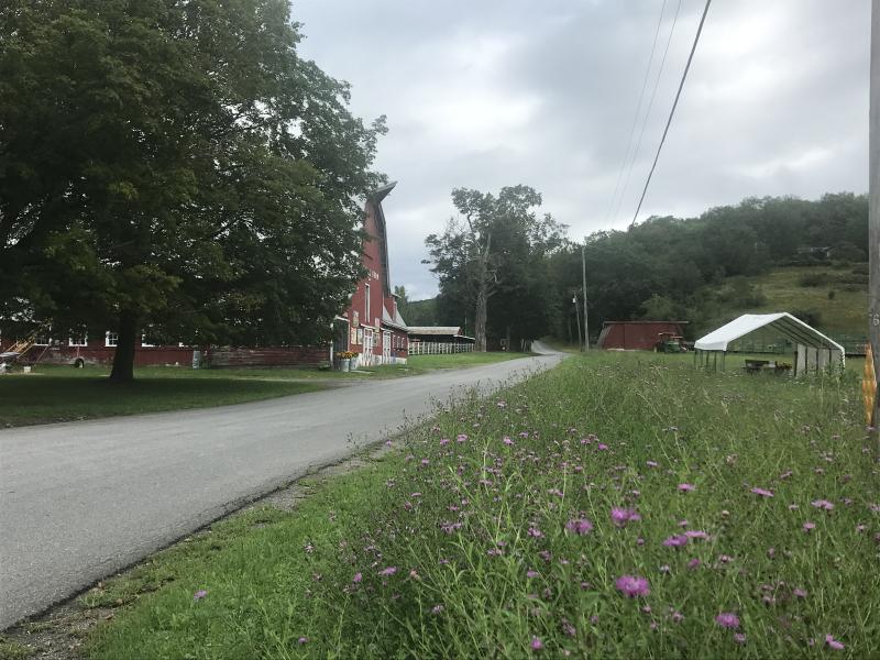 road to farm stand