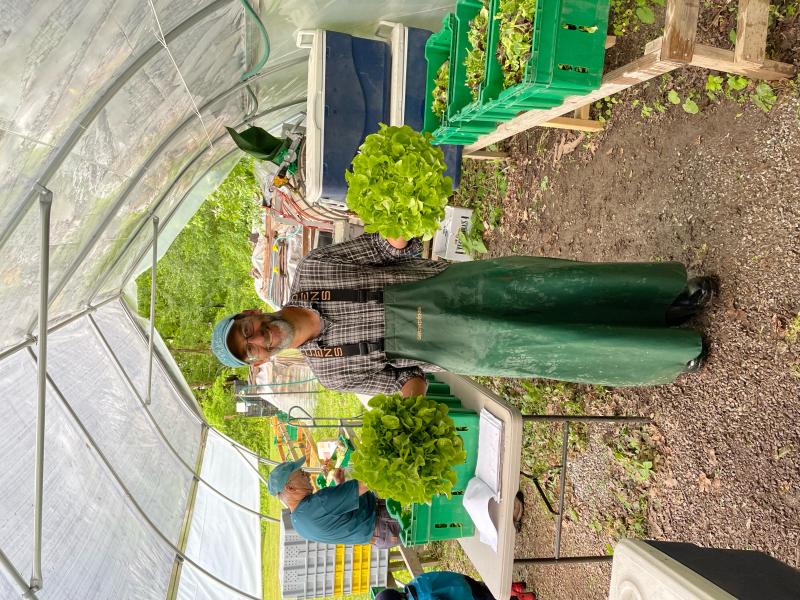 Farmer holding lettuce
