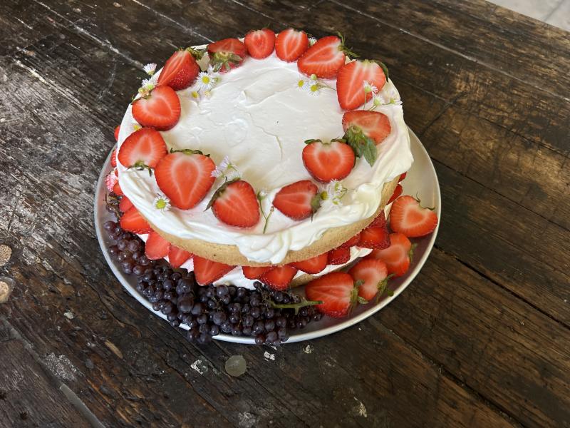 Gf / vegan birthday cake