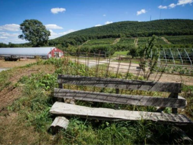 view of land