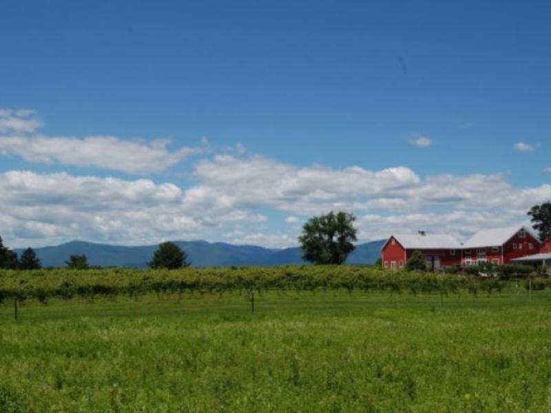 view of land