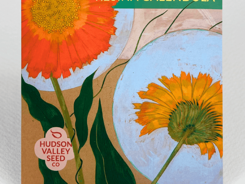Resina calendula seed pack with yellow and orange flowers