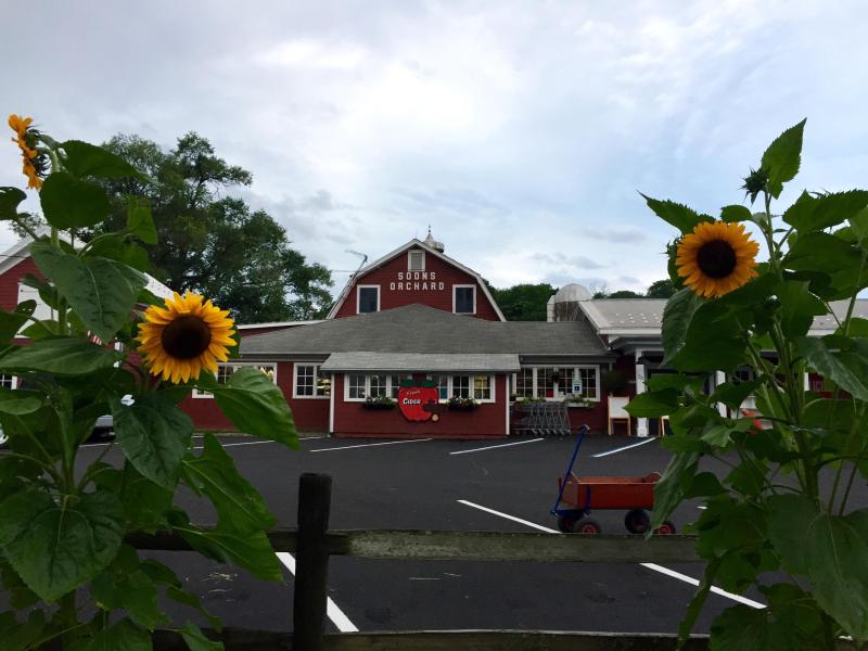 Soons Orchards Storefront