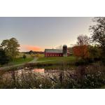 Scotch Hill Farm is a vegetable farm and retreat located in Cambridge, NY, 