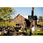 Hand- painted rustic "Quimby Stock Farm" sign. Old wooden barn in the background. 