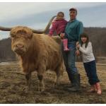 Highland cow with owner and family