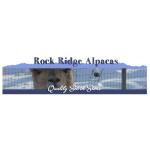 alpaca with mountain in the background with font in black