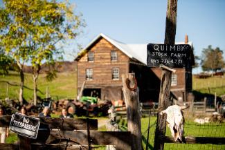 Hand- painted rustic "Quimby Stock Farm" sign. Old wooden barn in the background. 