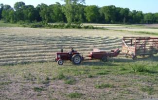Farm