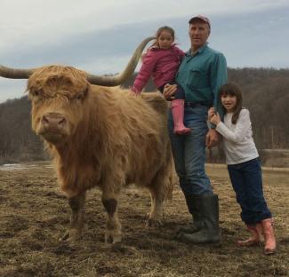 Highland cow with owner and family