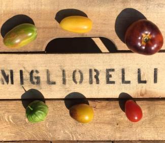 create with migliorelli on it with tomatoes around 